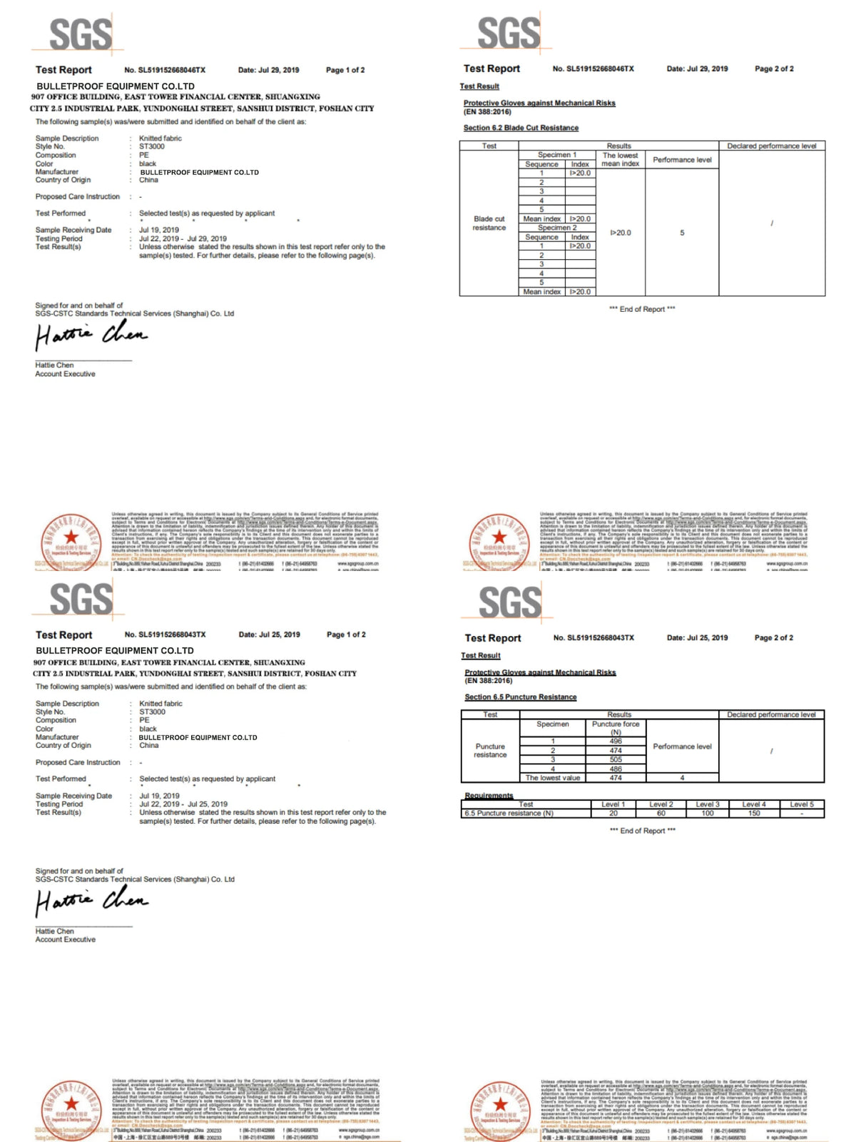 SGS test report with multiple pages on a white background